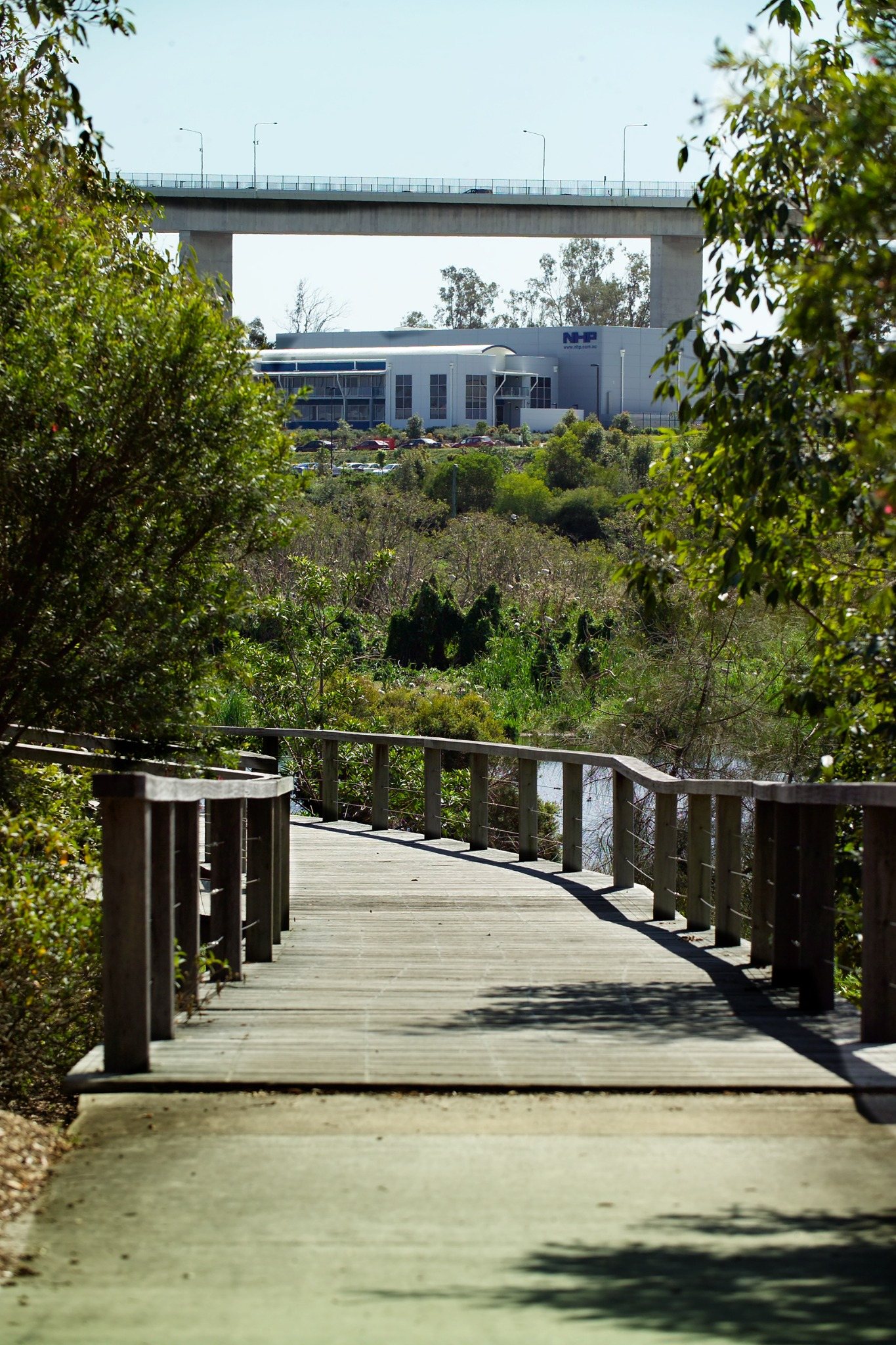 Boardwalk through landscaped wetlands at Metroplex on Gateway